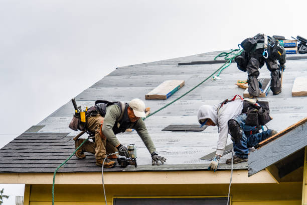 Professional Roof Replacement technician working in Bronson, MI